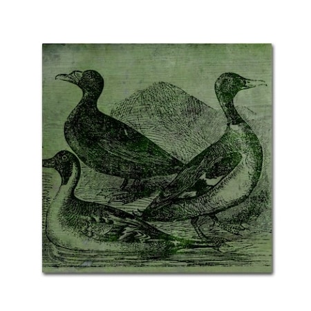 Color Bakery 'Mallards' Canvas Art,18x18